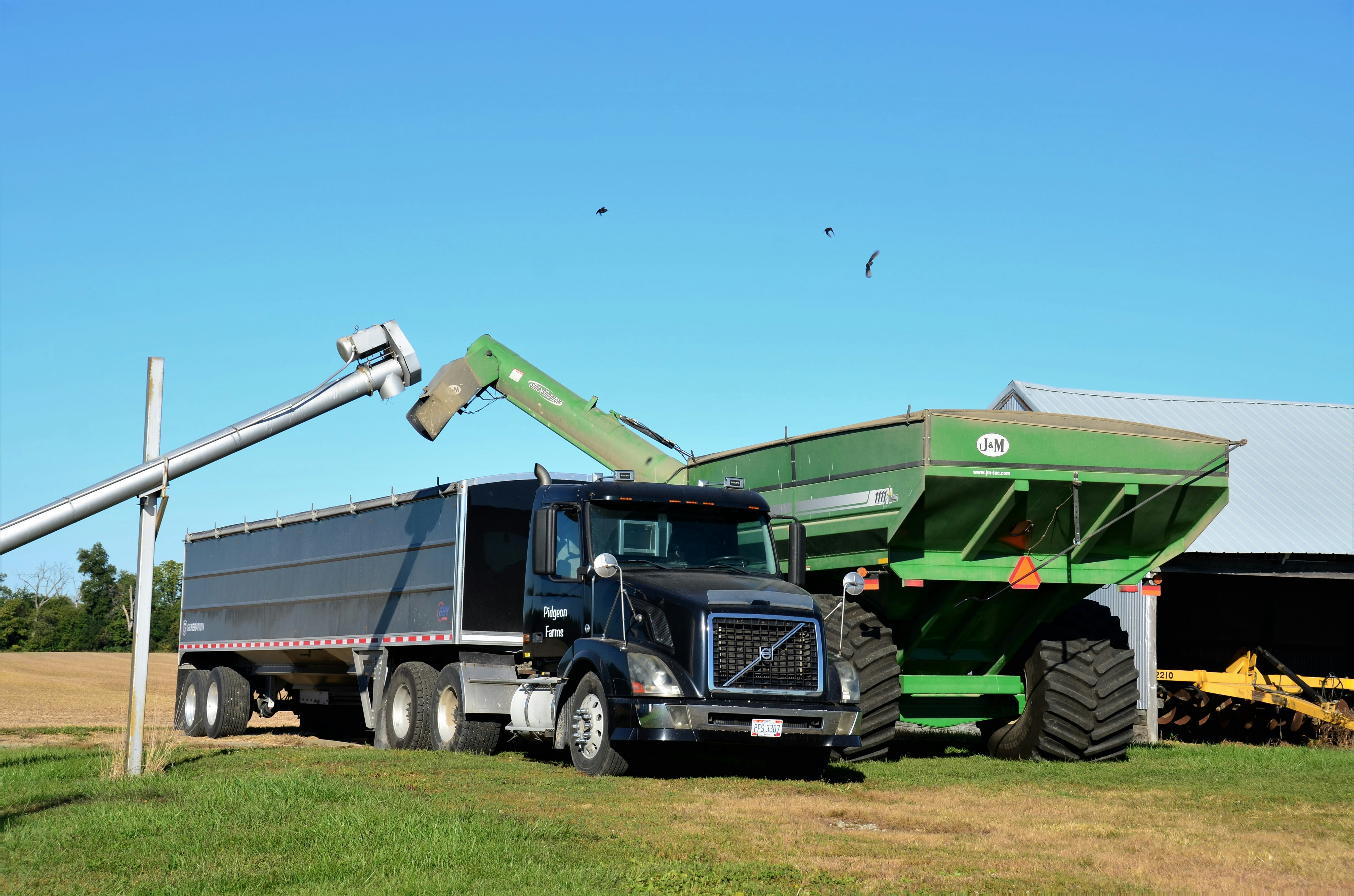 Truck hauling grain across a road